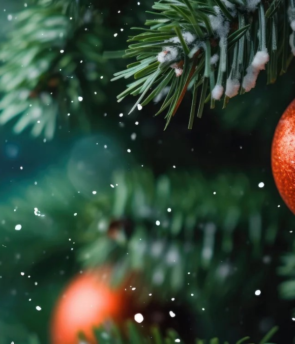 Christmas at Headland Hotel
